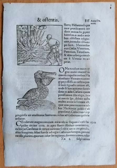 Wolfhart Chronicon Originalblatt Verbrennung Steinschlag Erdbeben  (516) 1557