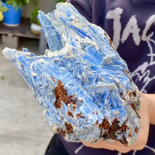 3.8LB Rare!! Natural beautiful Blue KYANITE with Quartz Crystal Specimen Rough.