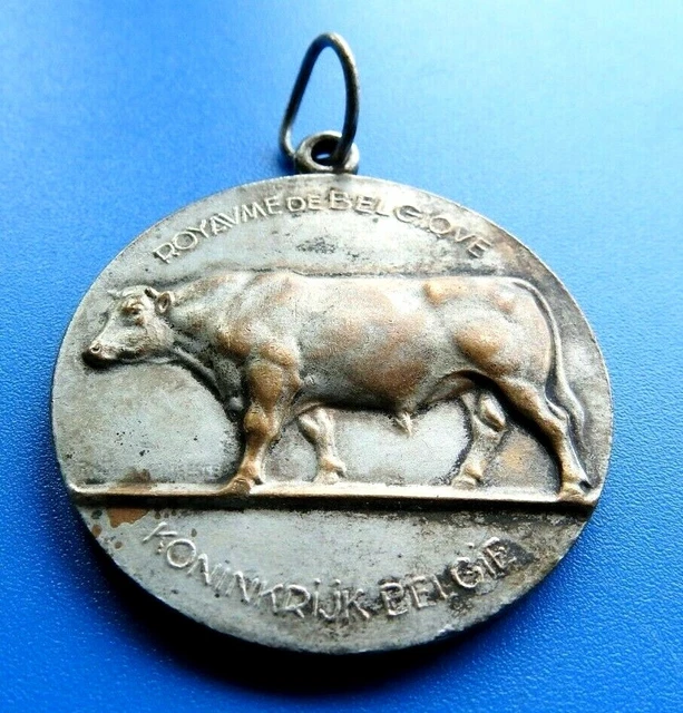 Médaille Ministère De L'Agriculture Enseignement Agricole 1907 - Bronze Vintage
