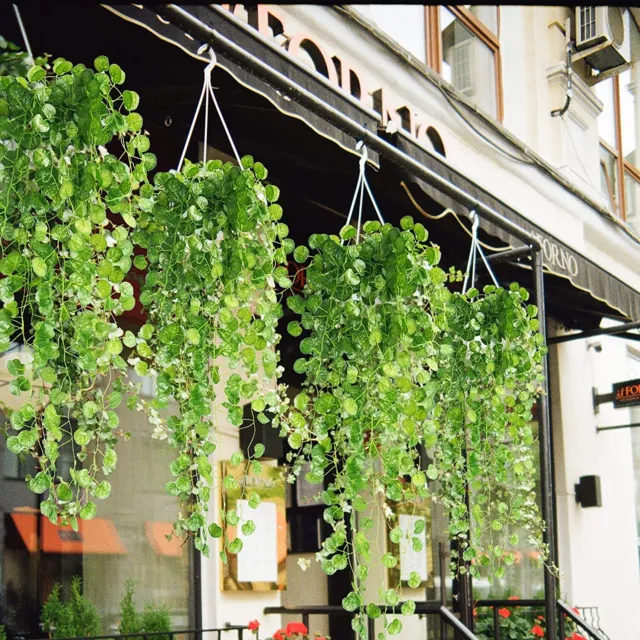 4 Stk 90cm Künstliche Hängepflanzen Grüner Blätter Efeu Girlande Grüne Girlande