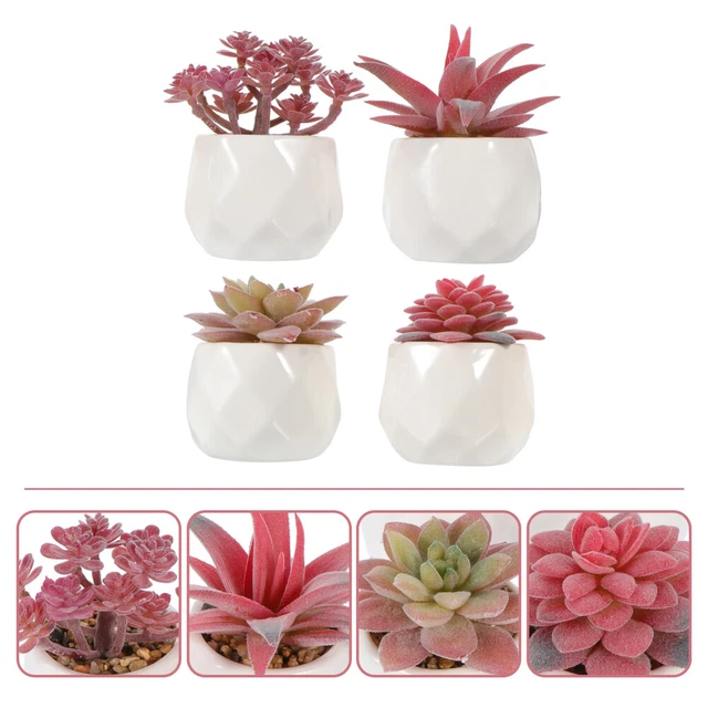 4 piezas plantas suculentas artificiales casa de muñecas cuenca de cerámica oficina