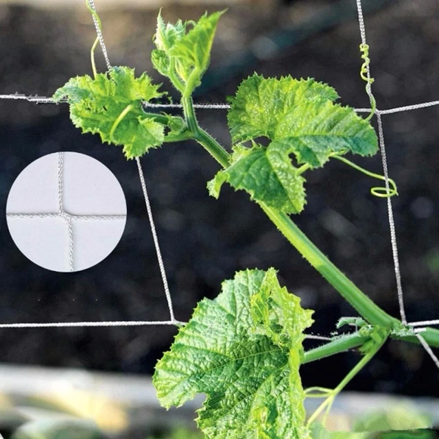 2 pezzi Rete di supporto per piante in polietilene Rete di supporto per piante rampicanti Rete di supporto per piante rampicanti per viti Verdure Fiori Frutta Cetrioli Pomodori Piselli, 1,8 mx 3,6 m