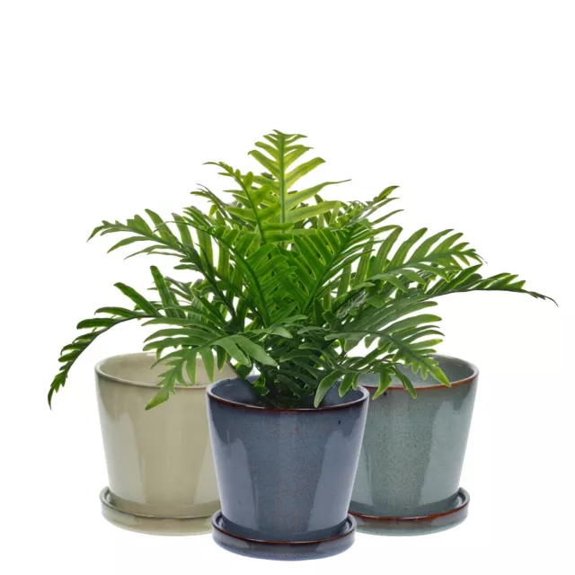 Indoor Ceramic Plant Pot Small Flower Succulent Cactus Decor Planter Holder