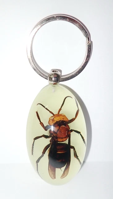 Insect Large Key Ring Murder Hornet Asian Giant Tiger Hornet YK83 Glow