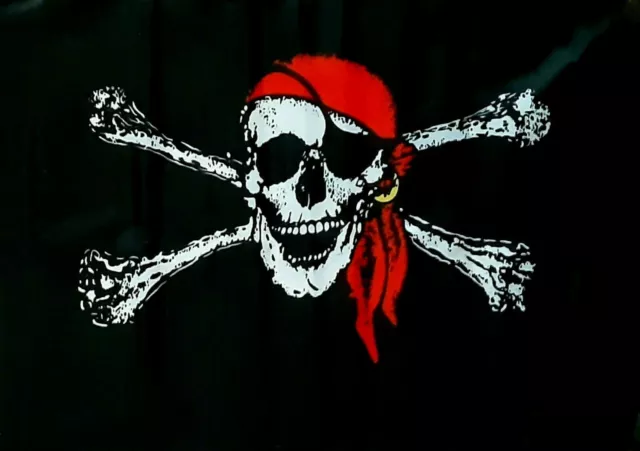 50 Stk Piratenfahnen Piratenflagge Totenkopf Fahne mit Stab Pirat mit Kopftuch