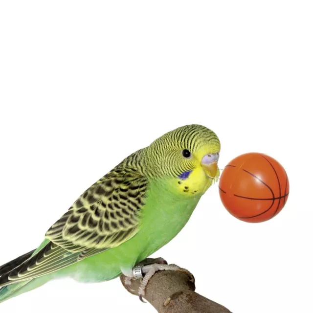 Karlie Streetball - Perruche ondulée jouet oiseau bois jouet oiseau perruche 2