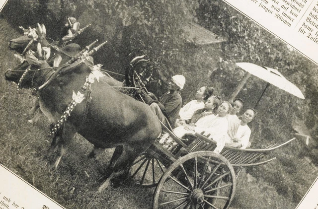BURMA Reise Zebu Ochsen Karren Reportage 1899 ILLUSTRIeRTE "Das Buch für Alle"