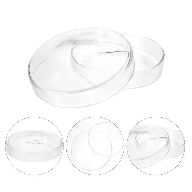 Petri Dish Glass Laboratory Dishes Cell Culture Borosilicate