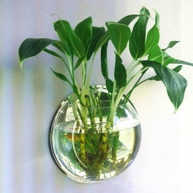 Hanging Wall Mounted Fish Bowl Aquaponic Tank Aquariums Plant Fish Bubble Gift 2