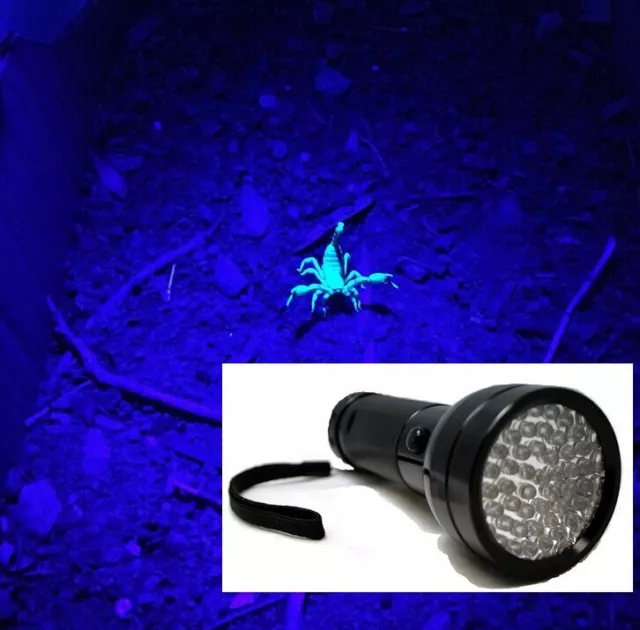 51 UV LED Ultra Violet Detector Lamp Inspection Blacklight 395 nM Flashlight AA 3