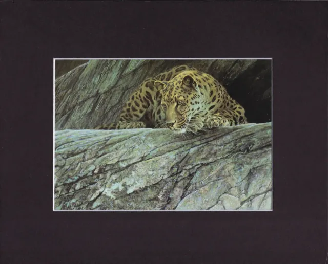 8X10" Matted Print Art Painting Picture, Robert Bateman: Leopard 1982
