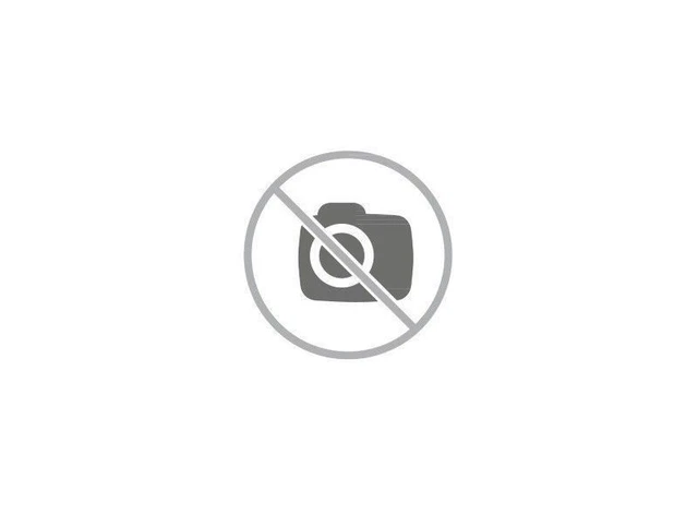 Pointeau de dérivetage de rechange pour rive/dérive chaine AFAM DRCP3 - NEUF