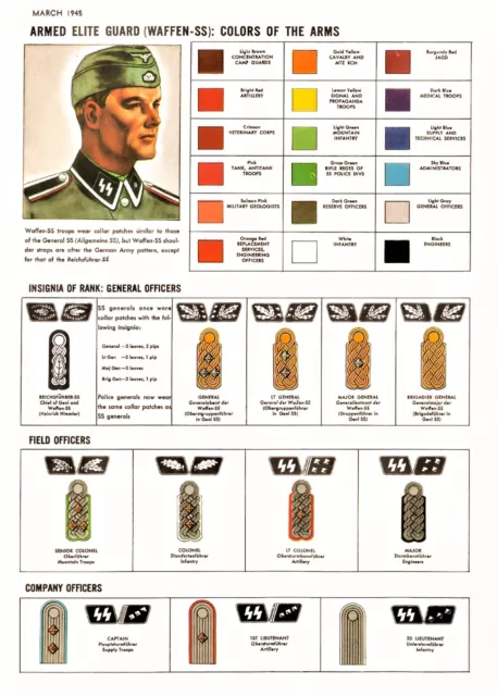 WW2 GERMAN ARMY military Rank Insignia uniform guide CANVAS PRINT world ...