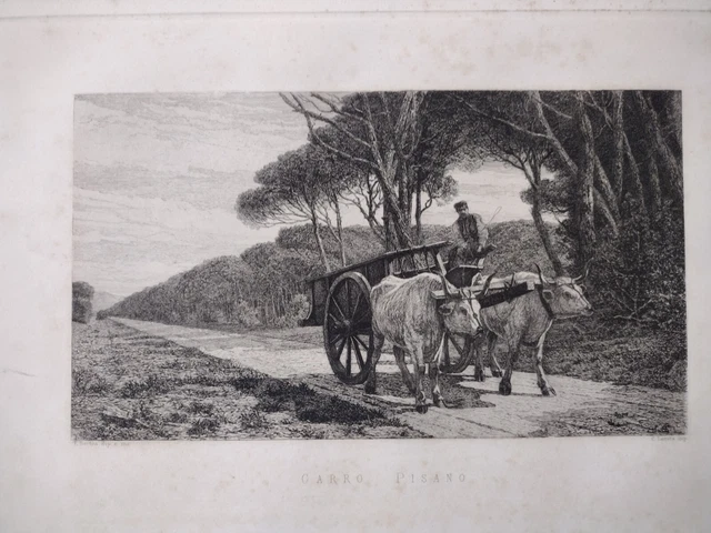 Ernesto Bertea Scuola Rivara Carro Pisano acquaforte originale 1870 Pinerolo