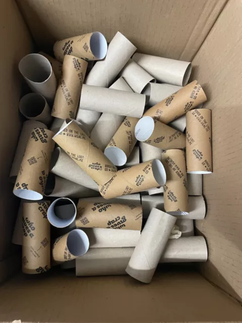 100 empty toilet roll tubes (Kids, art, craft, school)