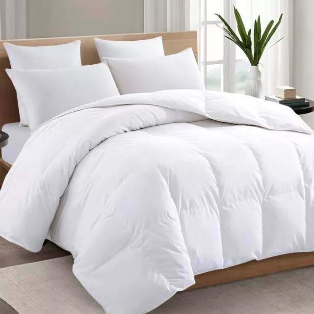 TEXARTIST Premium 2100 Series Queen Comforter All Season Breathable Cooling W...