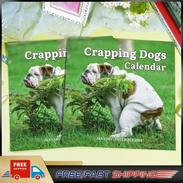 I Cani Che Fanno La Cacca Diventano Protagonisti Di Un Calendario Imperdibile - Radio - Foto 6