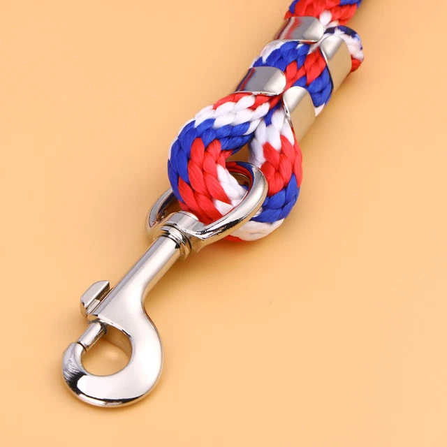 Guinzaglio A Catena Per Cavalli E Pony - Con Manico In Nylon E