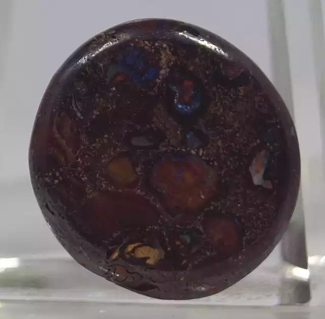 Echter Boulder OPAL (  ca. 31,5 Carat ) ca. 23 x 7 mm / Australien