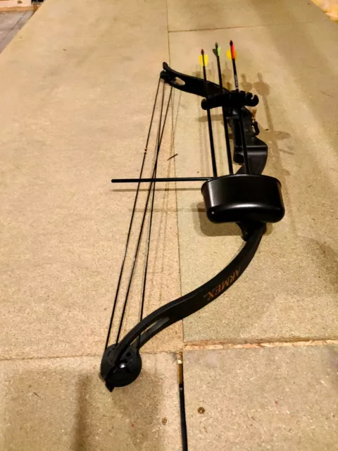 Archery compound bow and arrows