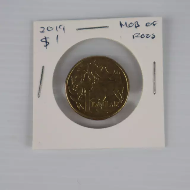 2019 JC $1 One Dollar Coin Low Mintage Australian Coin Circulated Mob Of Roos