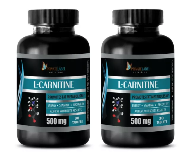 fat burn energy pills - L-CARNITINE 500MG - brain booster 2 BOTTLE