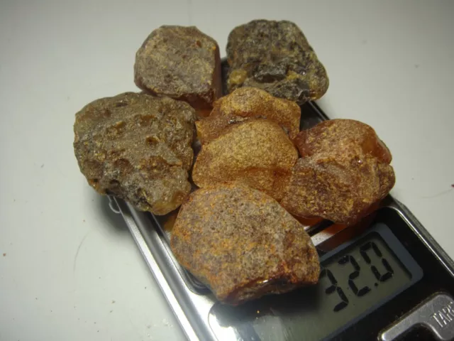 AMBER / raw baltic stones bernstein natural bursztyn baltycki genuine 琥珀 (e658
