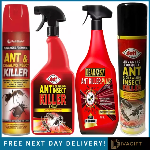 Ant & Insect Killer Spray Aerosol Suitable For Crawling Insects Doff Pestshield