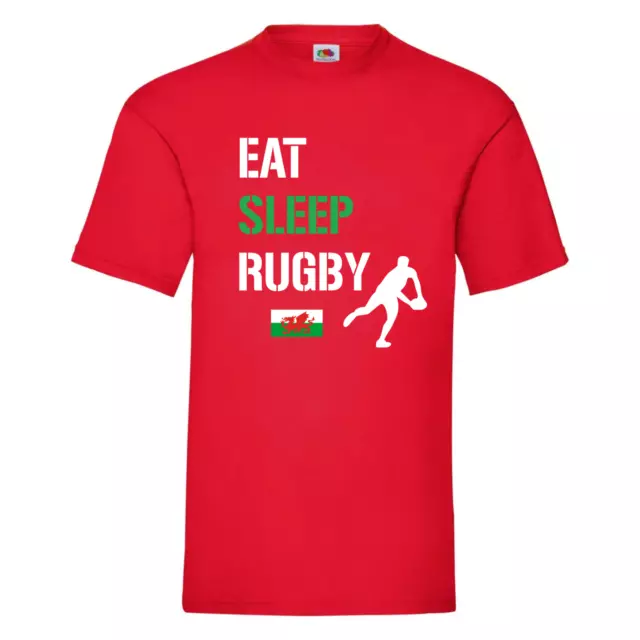 Wales, Eat Sleep Rugby T-Shirt, Welsh, rugby fan tshirt, world cup