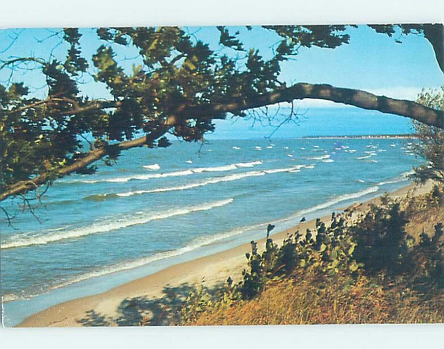 Pre-1980 SHORELINE SCENE Between Caseville & Port Austin Michigan MI AD6004