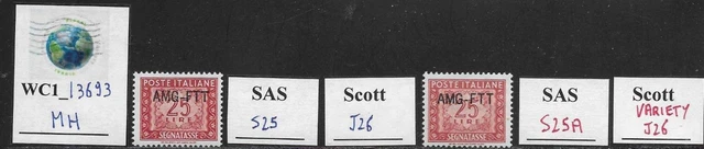 WC1_13693. ITALY: TRIESTE FTT. Variety 25 L 1952 post. due. Sc. J26,Sas S25A MH