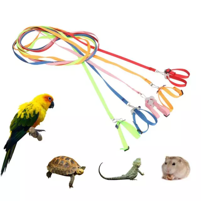 Arnés ajustable para mascotas reptil correa tortuga jerbo lagarto entrenamiento al aire libre suave