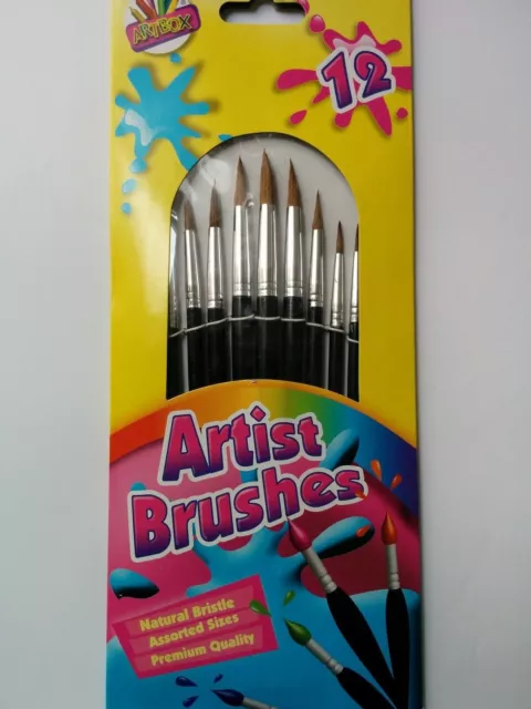 12 Artist Brushes Set Pointed Arts Craft Paint Painting Brush Set- kids adult