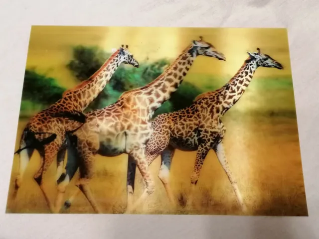 Image 3D de 3 Girafes Savane avec bande collante