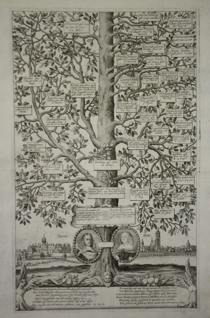 Darmstadt Incisione Engraving Ceder-Baum Vista Albero Genealogico 1661