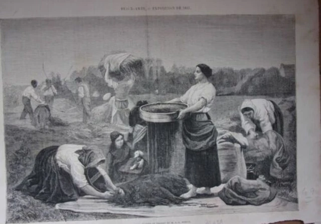 GRAVURE SUR BOIS 19ème LE COLZA D' APRES TABLEAU DE J.-A. BRETON