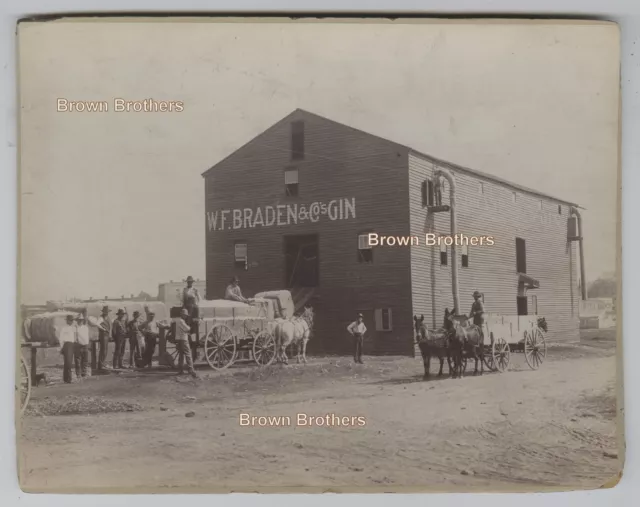 1890s Cotton Farmers Bring Bales to Braden & Co. Cotton Gin Mounted Photo 1890s Cotton Farmers Bring Bales to Braden & Co. Cotton Gin Mounted Photo