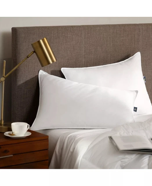 Serta egyptian best sale cotton queen pillow