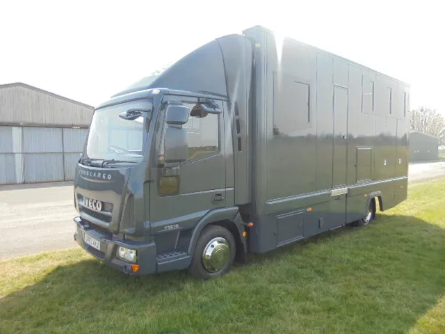 IVECO EUROCARGO HORSEBOX MAN DAF LF MERC 7.5 ton HORSELORRY HORSEBOXES