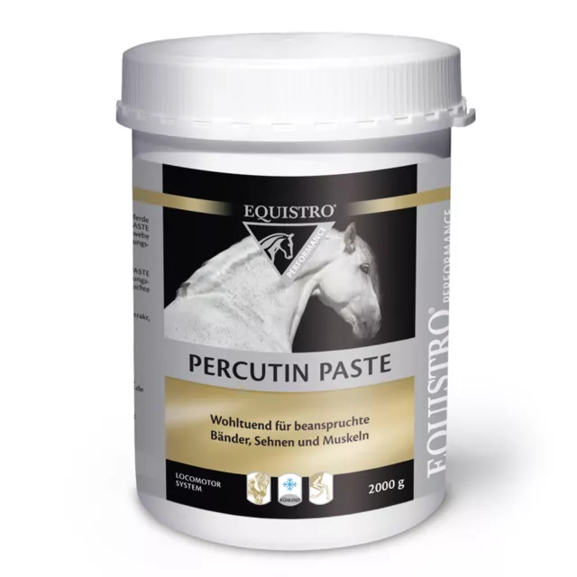 2 x Equistro Percutin Paste 2kg (4kg Gesamt) - Vetoquinol -