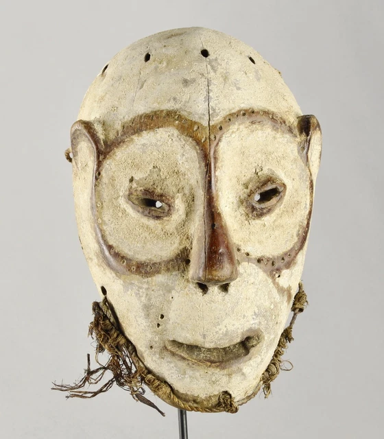 Superb LEGA Wood idimu Mask Bwami Cult Congo Zaire DRC African Tribal Art 1519