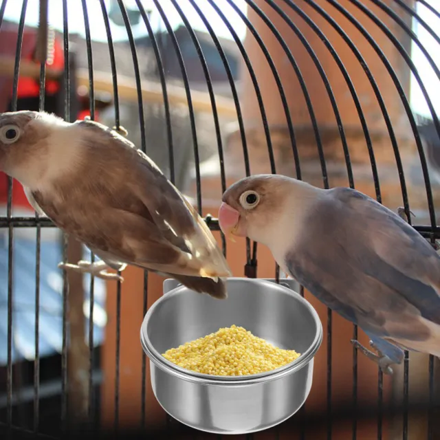 Mangeoire à oiseaux avec crochet, amovible à suspendre, en plastique  transparent, petite mangeoire à graines pour oiseaux sauvages, décoration  de jardin, fenêtre
