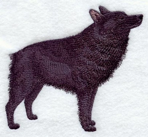 Embroidered Fleece Jacket - Schipperke C9641 Sizes S - XXL