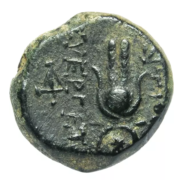 Seleukid Könige, Antiochos VII Euergetes (138-129BC) AE18, obv. geflügelter Eros