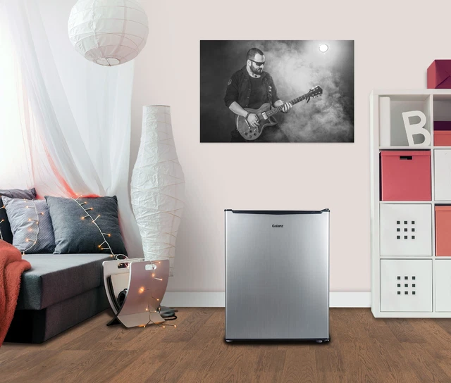 GALANZ 2.7 CU Ft One Door Mini Fridge, Stainless Steel Look, Estar 118