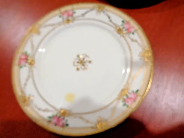 Vintage Hand Painted Nippon Bread & Butter Plate