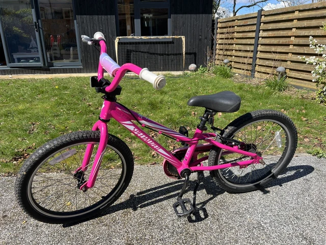 Specialized hotrock 20 girl pink best sale
