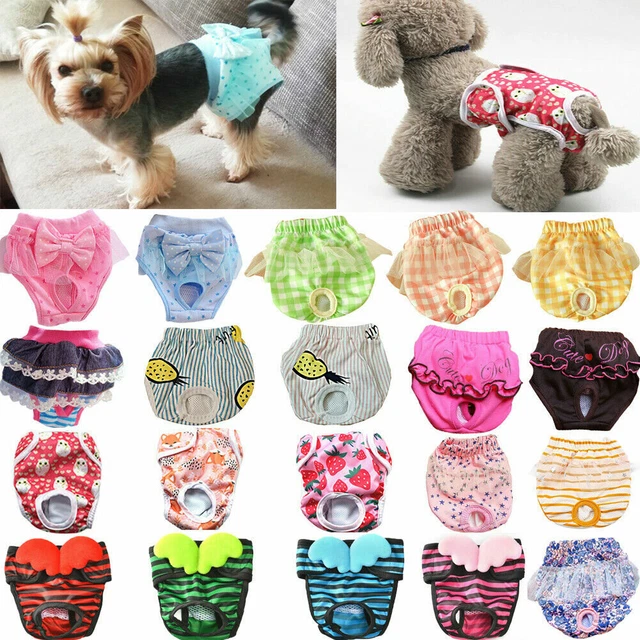 Pañales Para Perros Trixie – Calzoncillos De Higiene Para Machos (ropa Interior)