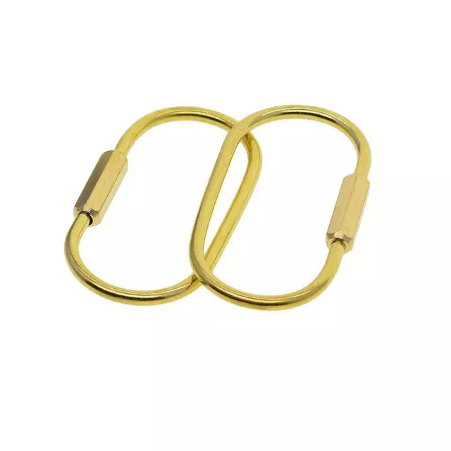 X2 D Ring GOLD Screw For Louis Vuitton Speedy 25 bag Attach Strap 20mm  Horseshoe