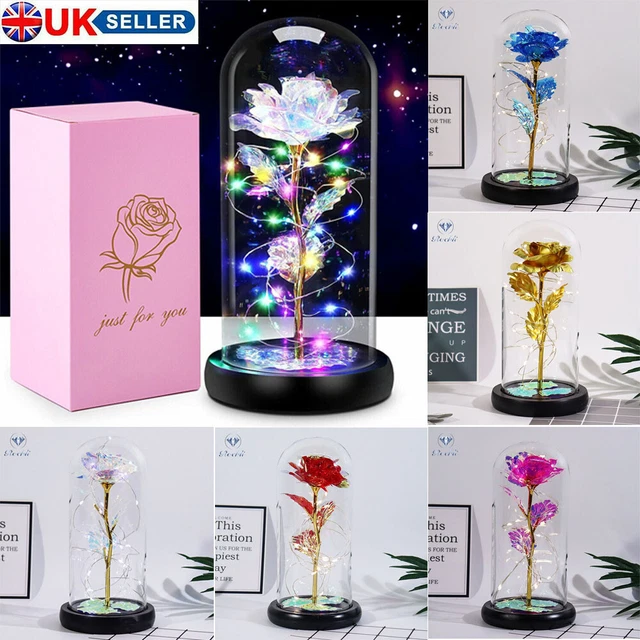 BEAUTY AND THE Beast Rose in Glass Light Up Enchanted Dome Lamp